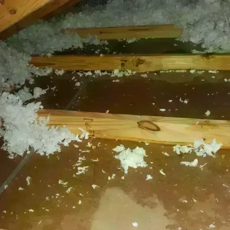 Attic Water Damage in Nags Head, NC